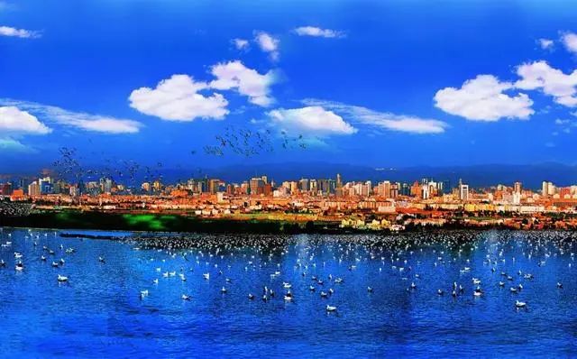 春城晚报(微信)