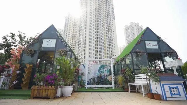 春城晚报(微信)