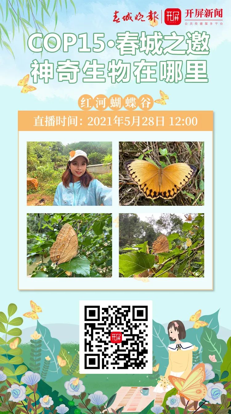 春城晚报(微信)