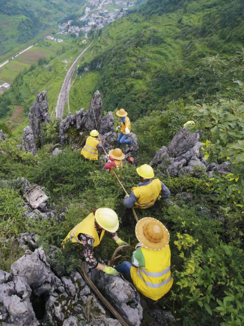 春城晚报(微信)