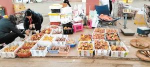 昆明信息港(微信)