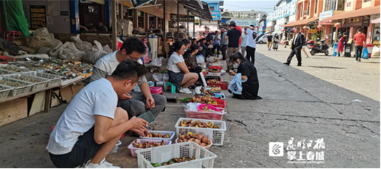 昆明信息港(微信)