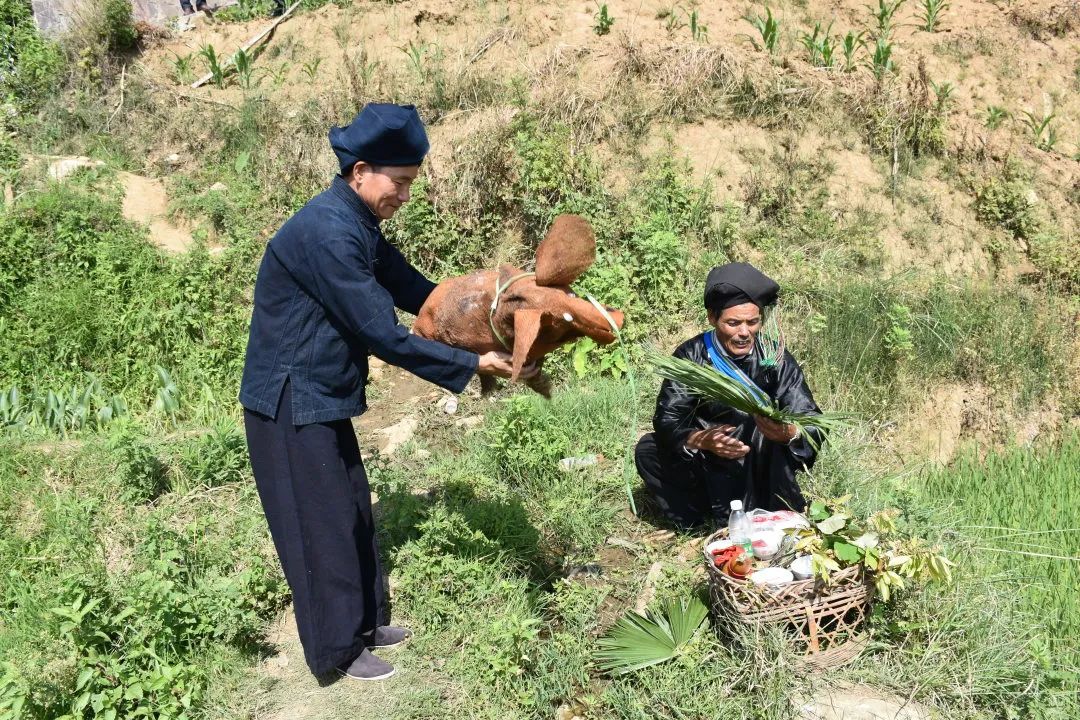 玉溪发布(微信)