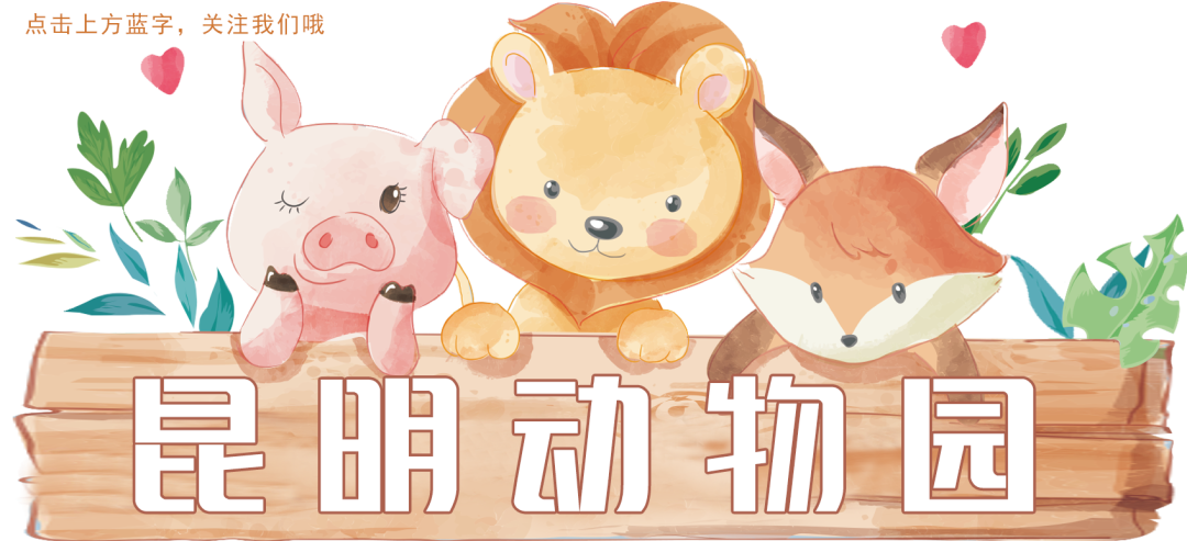 昆明动物园