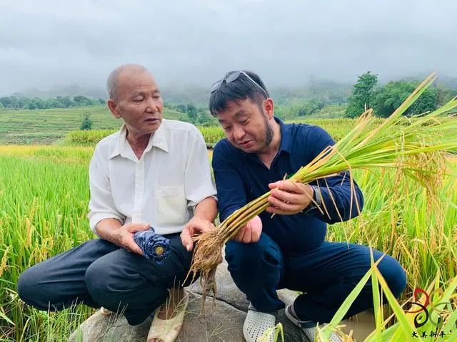 玉溪发布(微信)