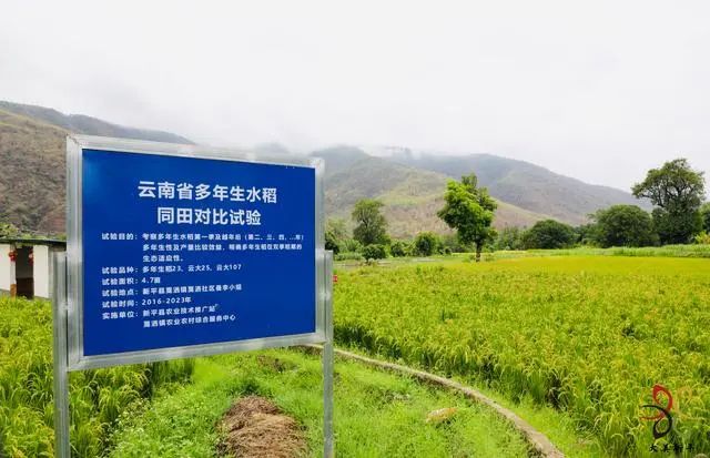 玉溪发布(微信)