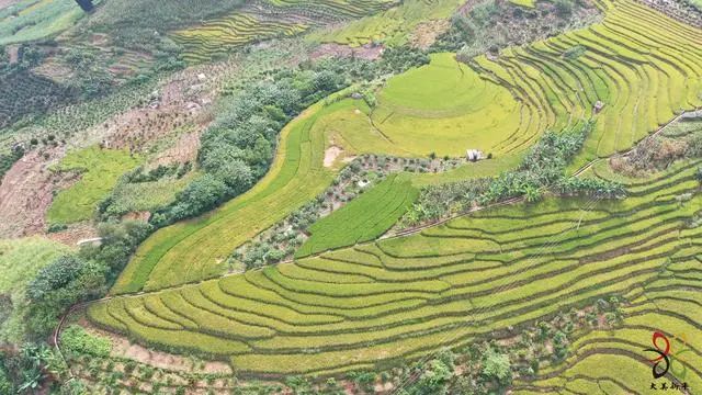 玉溪发布(微信)