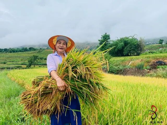 玉溪发布(微信)