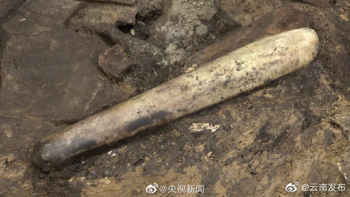 来看！三星堆出土凹刃玉凿