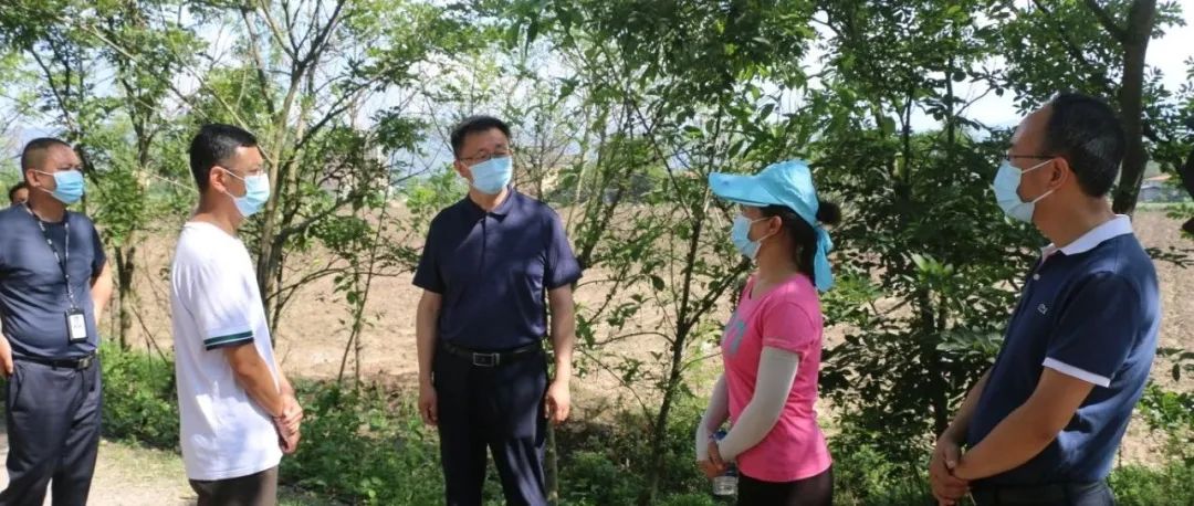 德宏团结报(微信)