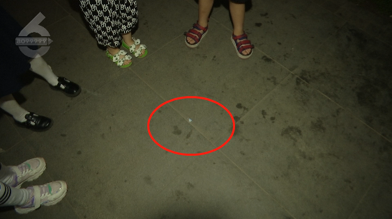 春城晚报(微信)