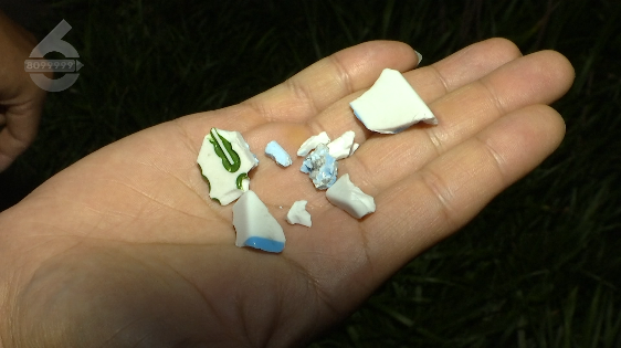 春城晚报(微信)