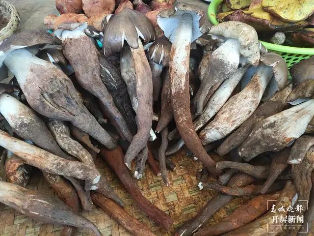 春城晚报(微信)