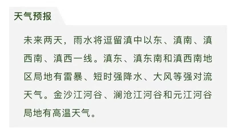 云南广播电视台(微信)