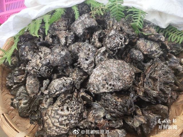 昆明信息港微博