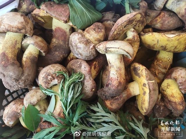 昆明信息港微博