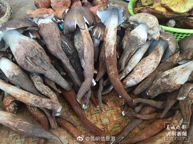 昆明信息港微博