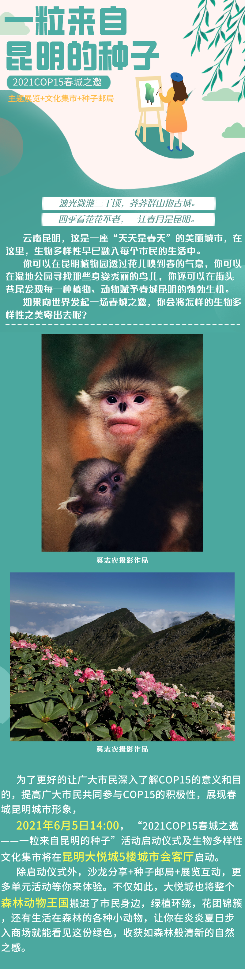 昆明信息港(微信)