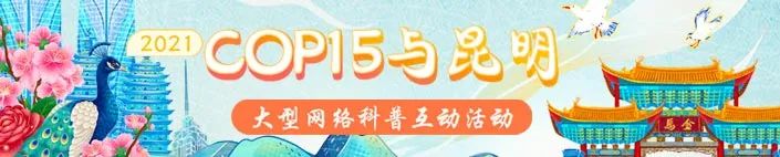 掌上春城(微信)