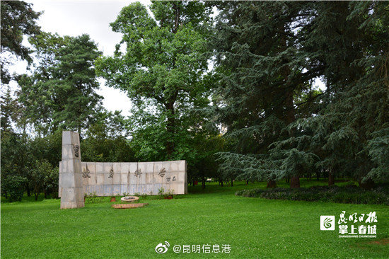 昆明信息港微博