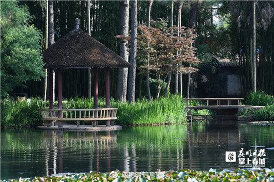 昆明信息港微博