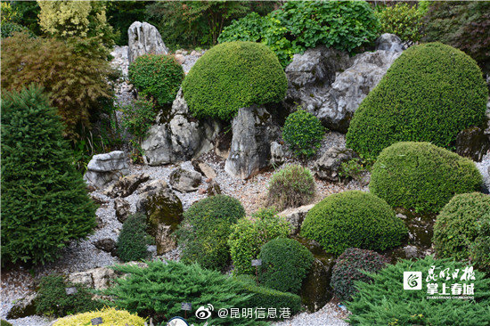 昆明信息港微博