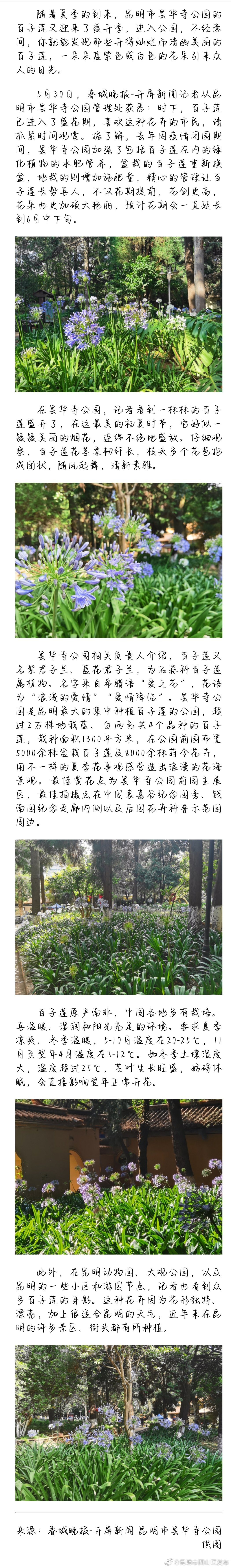 正值最佳赏花期！超级小清新，昙华寺公园迎来盛开季