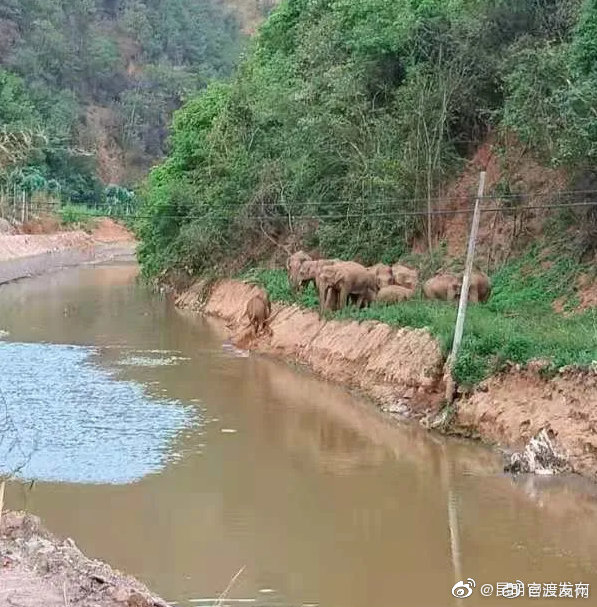 “昆明官渡发布”微博