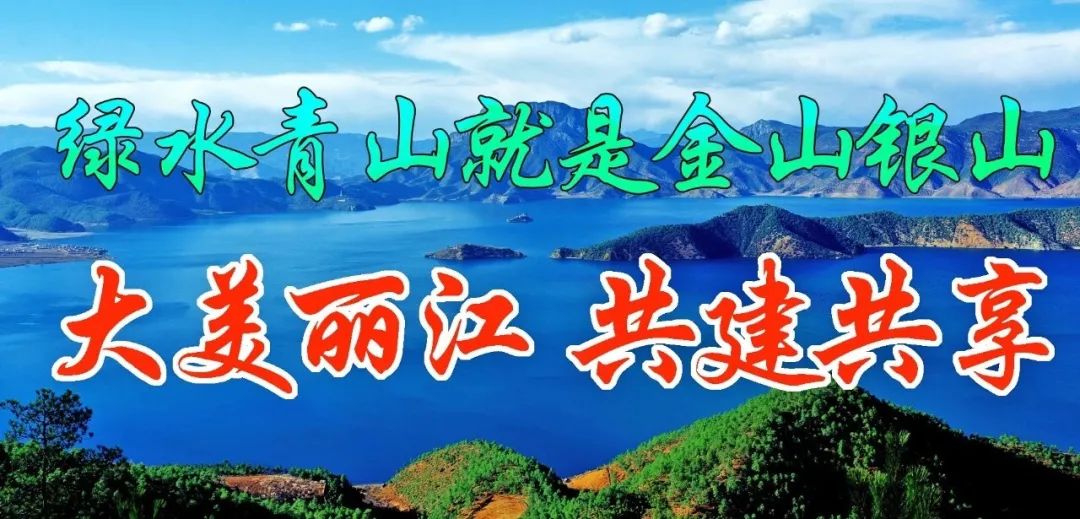 丽江日报(微信)