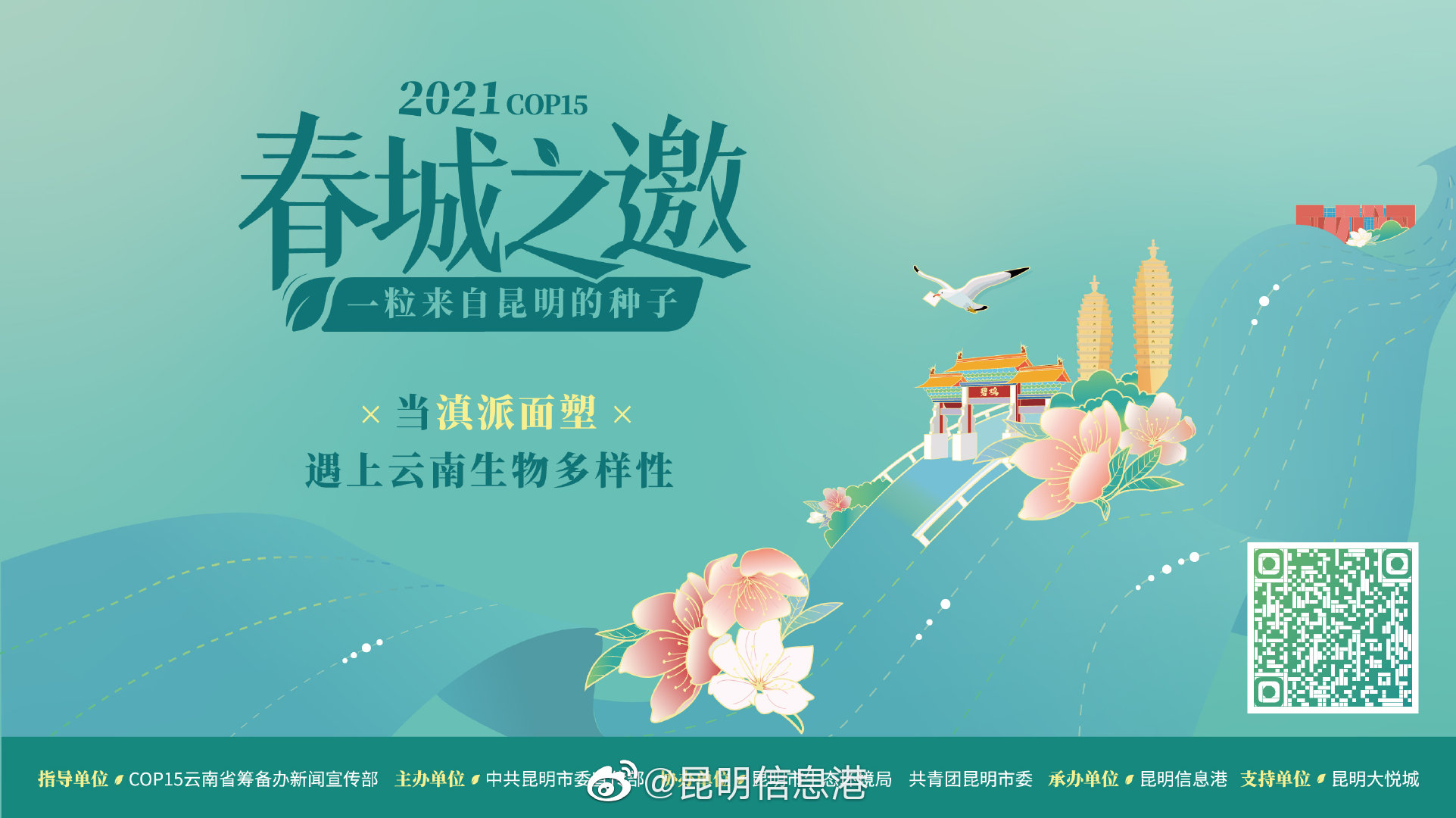 昆明信息港微博