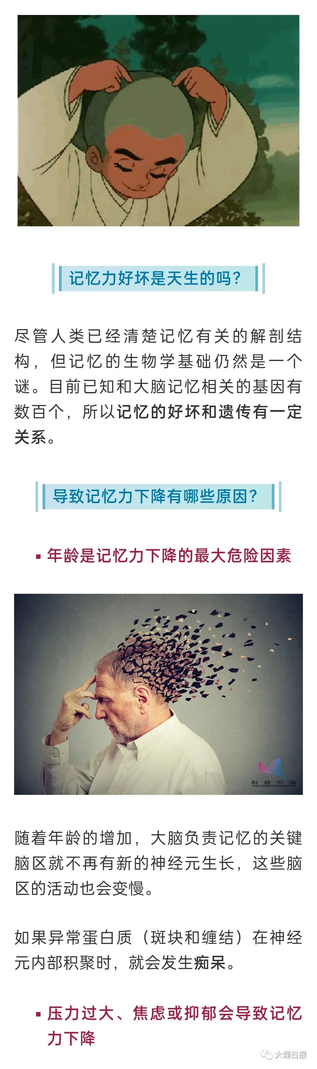 大理日报(微信)
