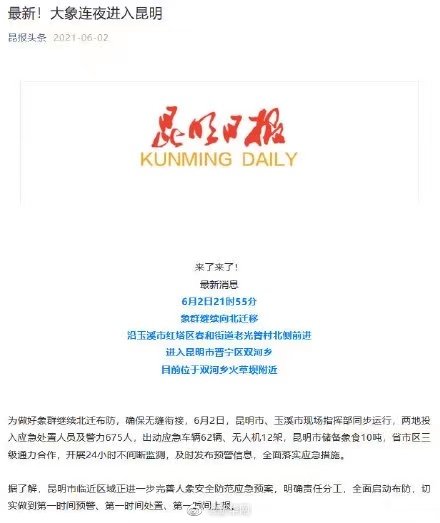 大象群连夜进入昆明