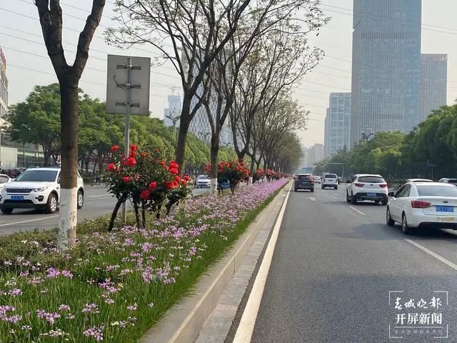 春城晚报(微信)