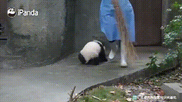 春城晚报(微信)