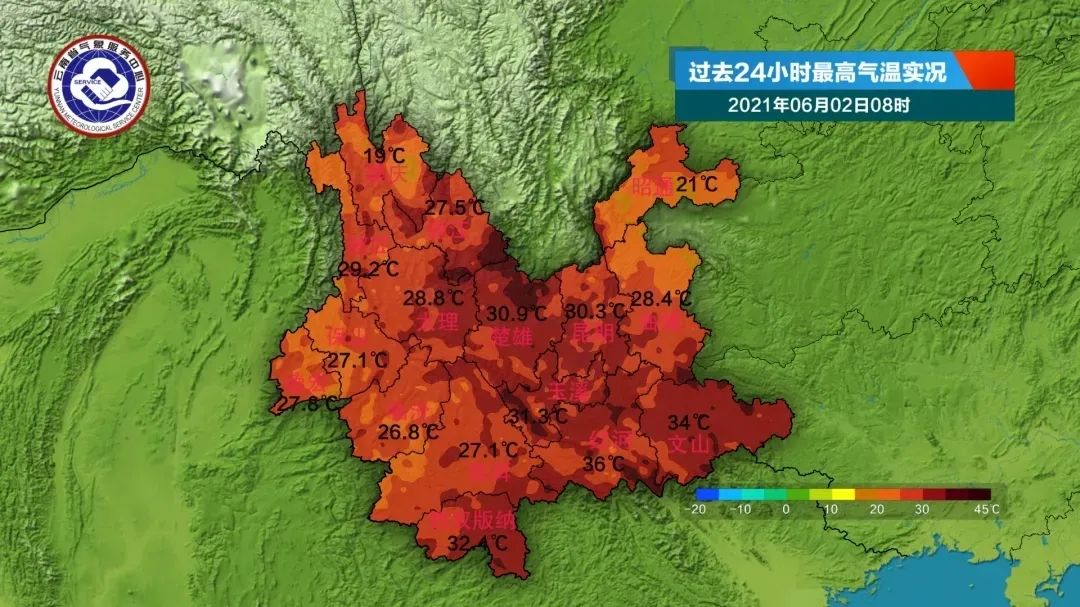春城晚报(微信)