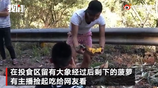 春城晚报(微信)
