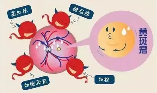 春城晚报(微信)