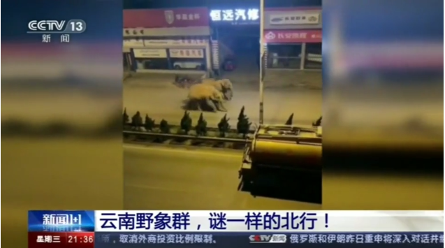 昆明信息港(微信)