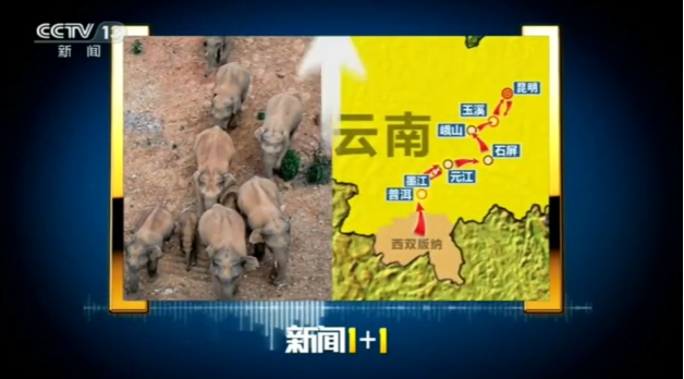 昆明信息港(微信)