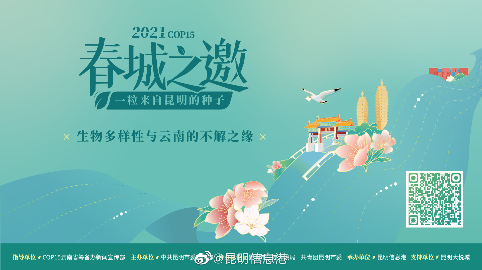 生物多样性与云南的不解之缘-彩龙社区