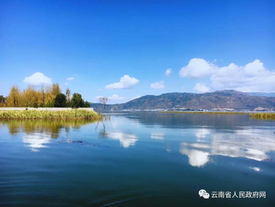 云南省人民政府网