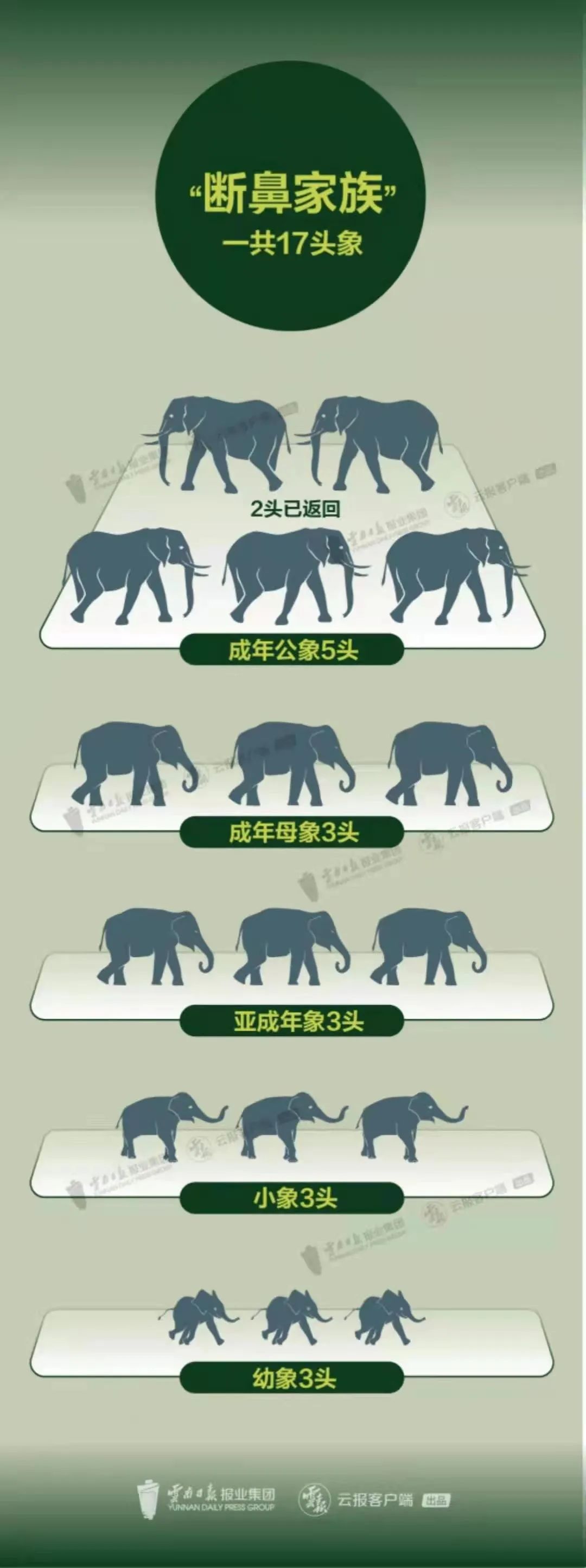 云南法制报(微信)