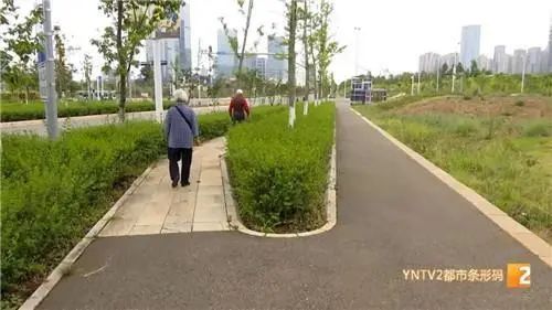 春城晚报(微信)