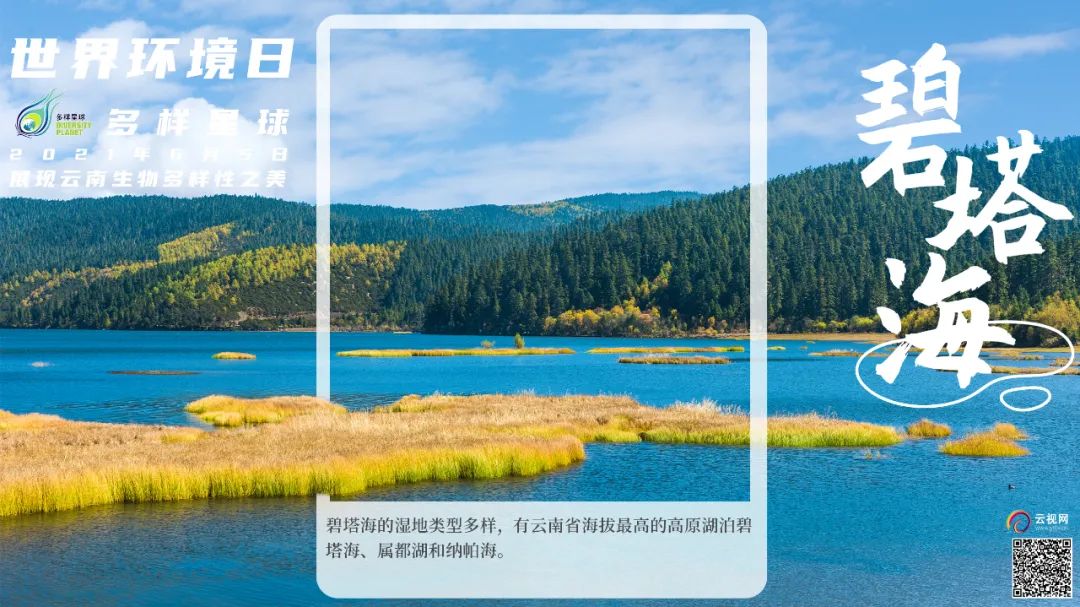 云南广播电视台(微信)
