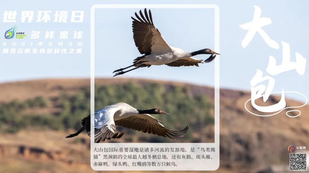 云南广播电视台(微信)