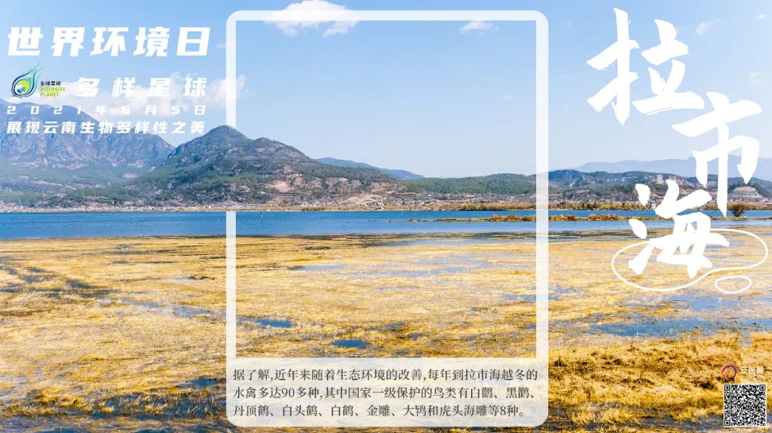 云南广播电视台(微信)