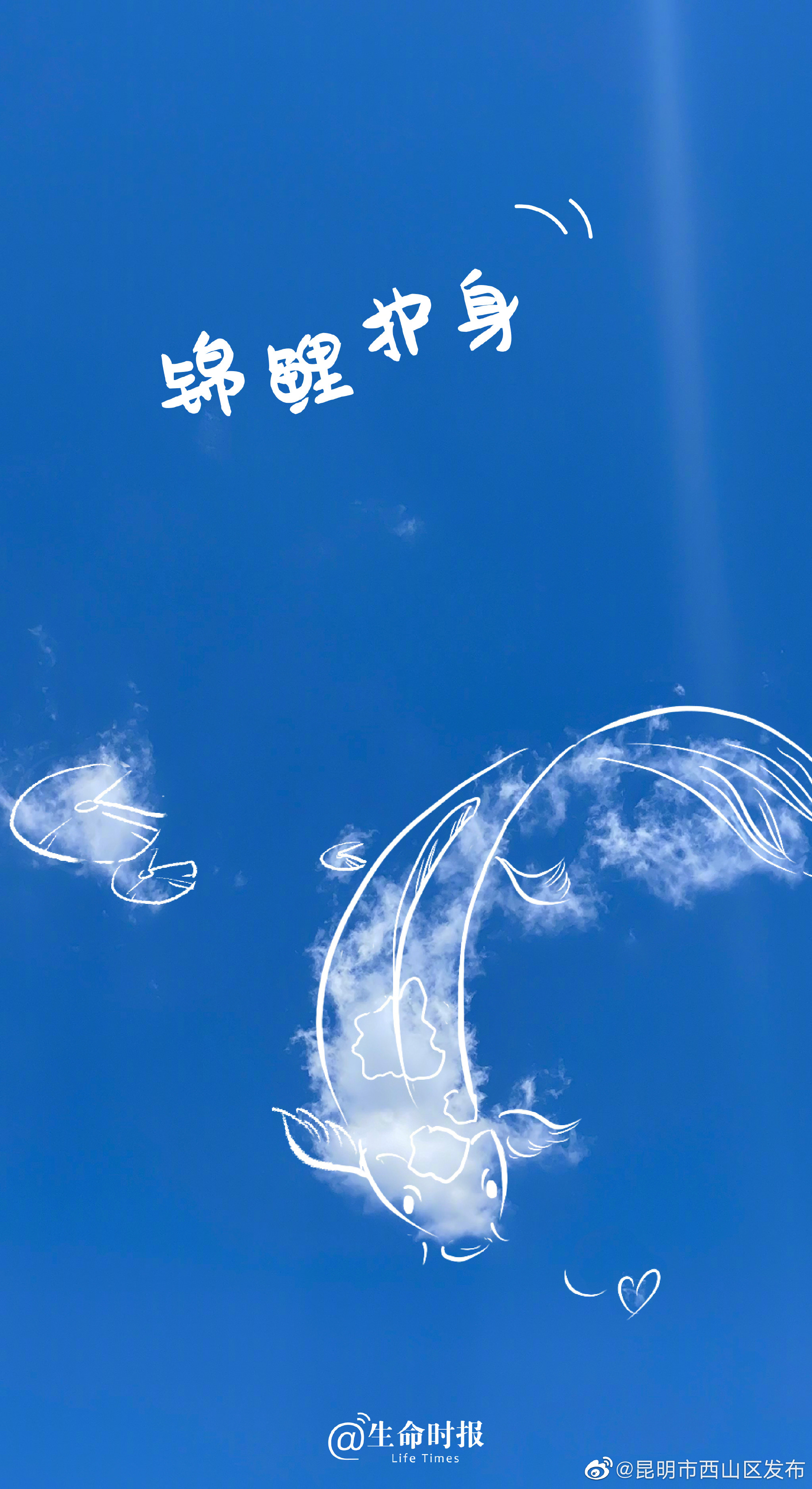 “昆明市西山区发布”微博