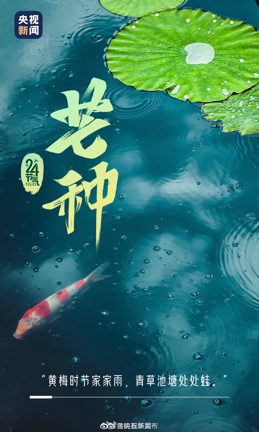 “昆明五华发布”微博