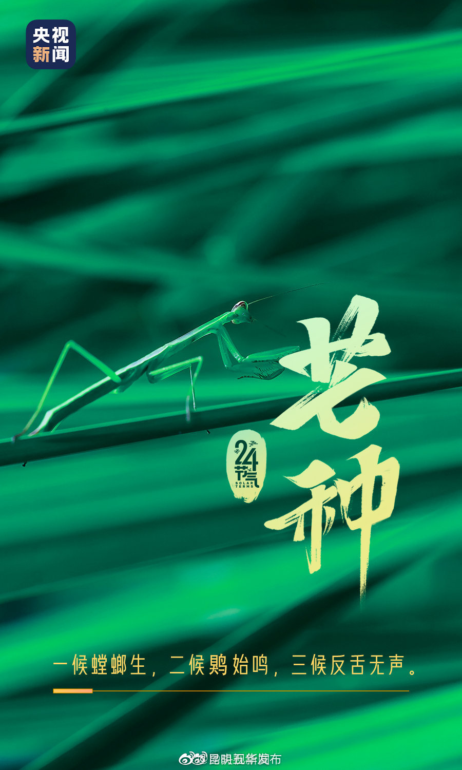 “昆明五华发布”微博