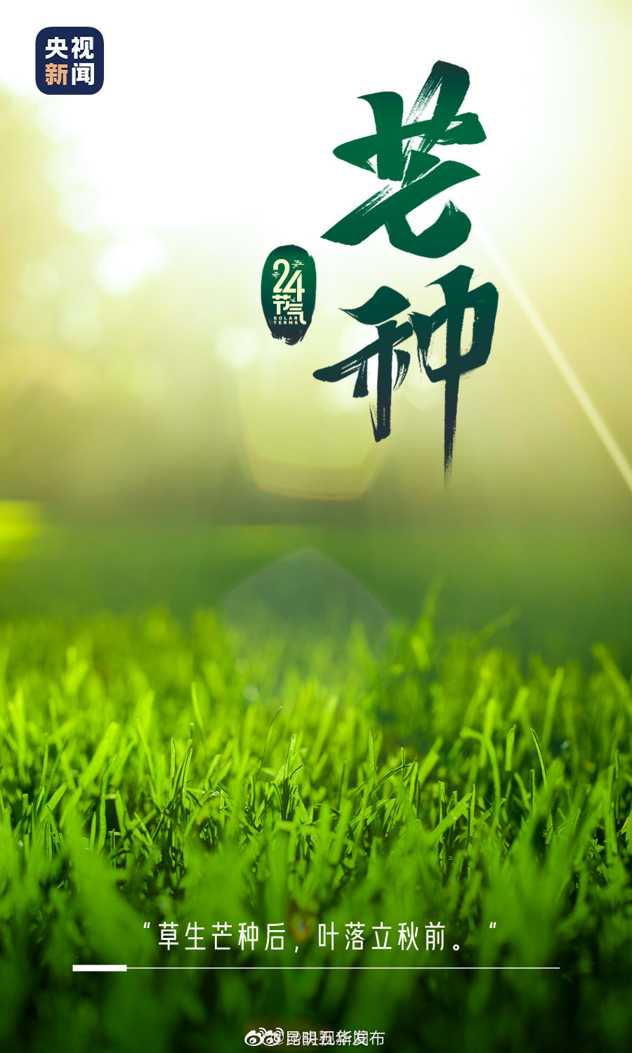 “昆明五华发布”微博
